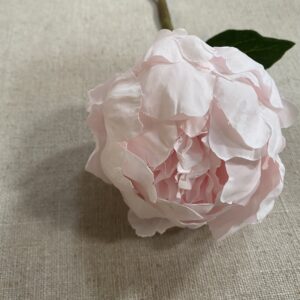Peony Closed 32cm Baby Pink