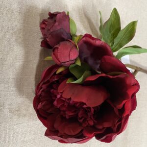 Peony Dark Red 49cm