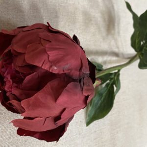 Peony Closed 47cm Dark Red