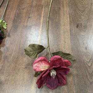 Magnolia 66cm Burgundy