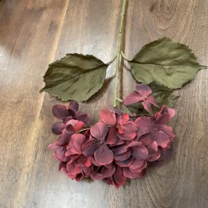 Hydrangea Dry Look 69cm Wine