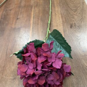 Hydrangea 65cm Burgundy